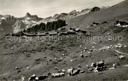 13816129 Torrentalp 2470m Albinen VS Und Leukerbad Mit Trubelnstock  - Sonstige & Ohne Zuordnung