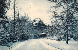 13792929 Zuerich ZH Partie Im Schnee Zuerich ZH - Autres & Non Classés