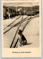 39166408 - Hund Wartet  Auf Dem Bahnhof Verlag Gunkel Nr. 2945 - Honden