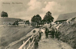 13770317 Menzberg LU Alp Oberlehn  - Autres & Non Classés