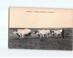 En Beauce, Attelage De Boeufs, La Charrue - Très Bon état - Other & Unclassified