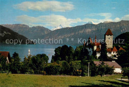 13757657 Spiez Thunersee BE Schloss Mit Wetterhorn Schreckhorn Eiger Spiez Thune - Other & Unclassified