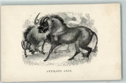 39150308 - Antilope Gnu  Kuenstlerkarte Sign Harvey - Altri & Non Classificati