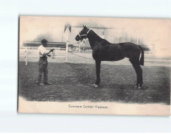 PARIS : Concours Central Hippique - Très Bon état - Otros & Sin Clasificación