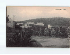 Le Mont Des Oiseaux - Très Bon état - Autres & Non Classés