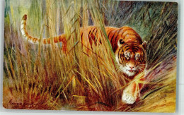 39611508 - Sign. Rankin George Oilette Wild Aminals No. 8785 Tigress Tiger - Other & Unclassified