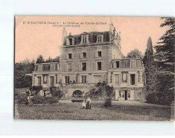SAINT SAUVEUR : Le Château De L'Orme Du Pont - état - Saint Sauveur En Puisaye