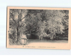 CHAMPIGNY : Le Tour De Marne, Etude D'arbre - Très Bon état - Champigny Sur Marne