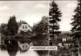 50454509 - Gernrode , Harz - Other & Unclassified
