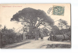 Golfe De Grimaud - Le Pont De Bertaud - Très Bon état - Autres & Non Classés