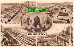 R345354 Brighton. 1078. Wardells. 1961 - Monde