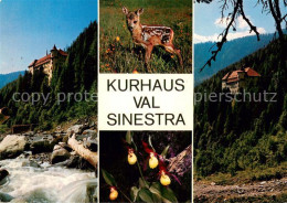 13748039 Val Sinestra Zuort GR Kurhaus Val Sinestra Rehkitz Panorama  - Autres & Non Classés