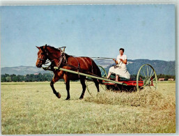 39749909 - Das Freiberger Pferd Zuverlaessiger Helfer Stiftung Fuer Das Pferd - Andere & Zonder Classificatie