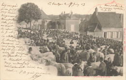 CPA Saint Saulge-Le Champ De Foire-Timbre     L2910 - Altri & Non Classificati