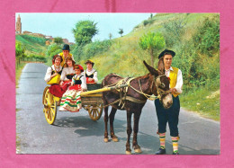 Atri, Costumi Abruzzesi- Standard Size, Divided Back, Ed. VDB. Cancelled And Mailed To Barletta 25.8.1978- - Andere & Zonder Classificatie
