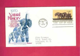 FDC De 1970 Des USA EUAN - YT N° 891 - Elephants