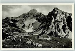 10607209 - Zweisimmen - Autres & Non Classés