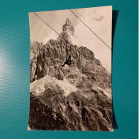 Cartolina Cima Della Pala. Viaggiata 1955 - Trento
