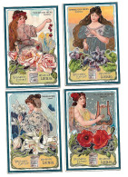 S 713, Liebig 6 Cards, Symboles Des Fleurs  (ref B18) - Liebig