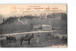 Vallée De La BALLONGUE - Sommet Du Col De PORTET - Très Bon état - Autres & Non Classés