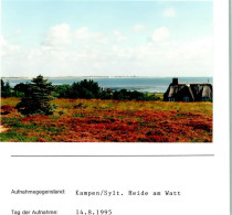 10129209 - Kampen (Sylt) - Other & Unclassified