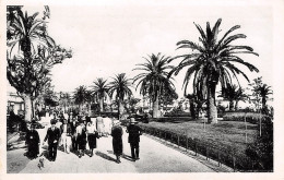 06-CANNES-N°T1163-E/0245 - Cannes