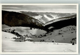 39816709 - Muggenbrunn - Todtnau