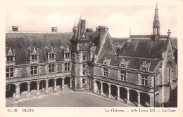 41-BLOIS LE CHÂTEAU-N°T1163-C/0309 - Blois