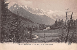 74-CHAMONIX-N°T1164-B/0343 - Chamonix-Mont-Blanc