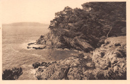 83-TOULON-N°T1164-H/0389 - Toulon