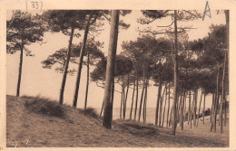 33-D ARCACHON AU MOULLEAU LE PARC DES ABATILLES-N°T1167-A/0063 - Altri & Non Classificati