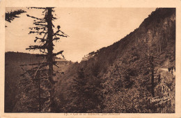 88-COL DE LA SCHLUCHT-N°T1167-F/0215 - Sonstige & Ohne Zuordnung