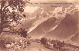 74-VALLEE DE CHAMONIX-N°T1170-H/0065 - Andere & Zonder Classificatie