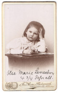 Fotografie Fr. Rose, Wernigerode, Mühlental, Portrait Kleines Mädchen Im Hübschen Kleid  - Anonyme Personen
