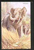 AK Elephants, Elefanten In Der Savanne  - Olifanten