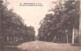 91-MONTGERON-N°T1171-G/0221 - Montgeron