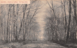 01-PERONNAS FORET DE SEILLON-N°T1171-F/0351 - Zonder Classificatie