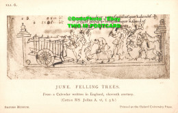 R346030 British Museum. June. Felling Trees. From A Calendar Written In England. - Monde