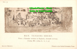 R346031 British Museum. May. Tending Sheep. From A Calendar Written In England. - World