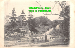 R346041 Japan Gardens. Postcard - Monde