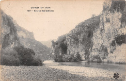 48-GORGES DU TARN ENTREE DES DETROITS-N°T1172-G/0077 - Gorges Du Tarn