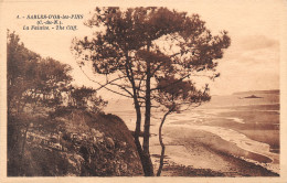 22-SABLES D OR LES PINS-N°T1173-A/0351 - Sonstige & Ohne Zuordnung