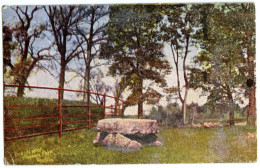 DUBLIN : PHOENIX PARK - DRUID'S ALTAR / TPO, T. P.O. TAMWORTH HEREFORD S. C. UP / BISHOP'S CASTLE, BULL STREET (FLETCHER - Dublin