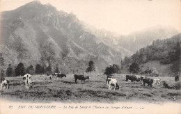 63-PUY DE SANCY-N°T1174-C/0023 - Andere & Zonder Classificatie