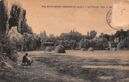 91-MONTGERON CROSNES-N°T1175-B/0311 - Montgeron
