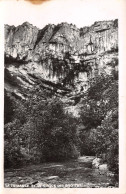 39-LES PLANCHES PRES ARBOIS GROTTES DES PLANCHES-N°T1175-B/0235 - Altri & Non Classificati