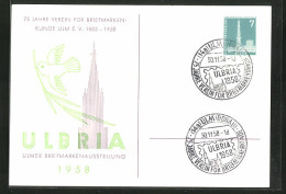 AK Ulm /Donau, Briefmarkenaustellung Ulbria 1958, Ganzsache  - Briefmarken (Abbildungen)