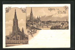 Lithographie Ulm, Totalansicht Mit Münster  - Ulm