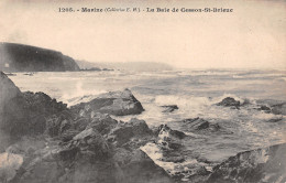 22-BAIE DE CESSON SAINT BRIEUC-N°T1175-G/0129 - Altri & Non Classificati