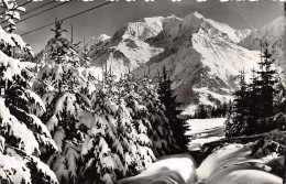 74-LE MONT BLANC-N°T1175-F/0333 - Other & Unclassified